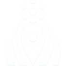 Liga Femenina