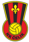 شعار Celik Zenica