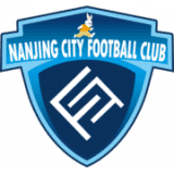 شعار Nanjing City